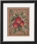 Fraise Fructus by Constance Lael Limited Edition Print