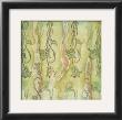 Floral Whimsey Ii by Jennifer Goldberger Limited Edition Print