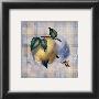 Tartan Fruit, Lemon by Alma Lee Limited Edition Print