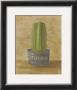 Tijuana Cactus by Mar Alonso Limited Edition Pricing Art Print