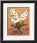 Red And White Flowers In Bowl by Jose Gomez Limited Edition Print