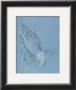 Praying Hands, 1508-09 by Albrecht Durer Limited Edition Print