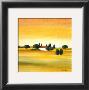 Sunny Day Ii by Hans Paus Limited Edition Print