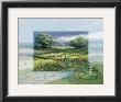 Peaceful Sight by Reint Withaar Limited Edition Print