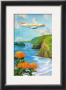 Hawaiian Airlines by Lloyd Sexton Limited Edition Pricing Art Print