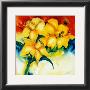 Bouquet Of Daffies by Alfred Gockel Limited Edition Print