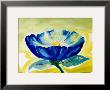 Blue Daisy by Alfred Gockel Limited Edition Print