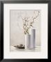 Willow Twigs Ii by Karin Valk Limited Edition Print