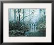 Transcending Forest by Juan S. E. Archuleta Limited Edition Print