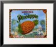 Luscious Pineapple by Miles Graff Limited Edition Pricing Art Print