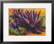 Purple Agaves On The Rocks by Beth Zink Limited Edition Print