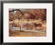 Kirkland Creek by Rogue Simpson Limited Edition Print