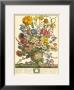 March by Robert Furber Limited Edition Print