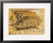 Wild Life Ii by Joadoor Limited Edition Pricing Art Print