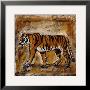 Safari Tiger by Tara Gamel Limited Edition Pricing Art Print