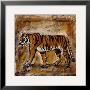 Safari Tiger by Tara Gamel Limited Edition Print