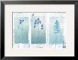 Designer Stamp Ii by Gillian Fullard Limited Edition Print