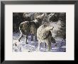 Winter Wolves by Michelle Mara Limited Edition Print