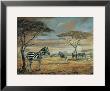 Zebras On The Plains by Silvia Duran Limited Edition Pricing Art Print