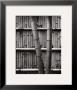 Bamboo And Wall by Jeff Zaruba Limited Edition Pricing Art Print