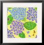 Hydrangea by Coco Yokococo Limited Edition Pricing Art Print