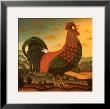 Rooster by Diane Pedersen Limited Edition Pricing Art Print