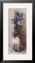 Lilac Garden by Paul Mathenia Limited Edition Print