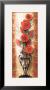 Paisley Poppy by Alma Lee Limited Edition Print