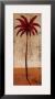 Desert Palm Ii by Ellen King Limited Edition Print