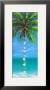 Coastal Palm Iii by J. Martin Limited Edition Pricing Art Print