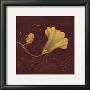 Datura Fresco by Regina-Andrew Design Limited Edition Print