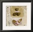 Nounours Rose Et Chaussures by Veronique Didier-Laurent Limited Edition Pricing Art Print