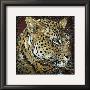 Leopard Portrait by Fabienne Arietti Limited Edition Print