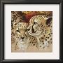 Look Of Amber by Joadoor Limited Edition Pricing Art Print