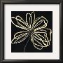 Oxygen Scribble Flower by Debbie Halliday Limited Edition Print