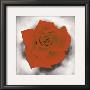 Red Rose by Marija Schwarz Limited Edition Print