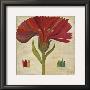 Gerbera by Rose Richter-Armgart Limited Edition Print