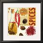 Indian Spices by Ute Nuhn Limited Edition Print