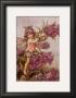 The Canterbury Bell Fairy by Cicely Mary Barker Limited Edition Print