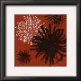 Dalhias Ii by Olivia Limited Edition Pricing Art Print