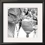 Martini Glasses I by Jean-Francois Dupuis Limited Edition Print