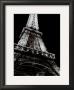 Under The Eiffel Tower by Cyndi Schick Limited Edition Print