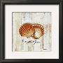 Coquilles St Jacques by Pascal Cessou Limited Edition Print