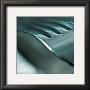 Silver Fork Iv by Jean-Francois Dupuis Limited Edition Pricing Art Print