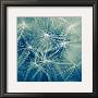 Nebulos by Jean-Francois Dupuis Limited Edition Pricing Art Print