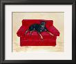 Dobie On Red by Carol Dillon Limited Edition Print