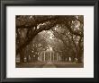 Oak Alley by Cindy Mcintyre Limited Edition Print