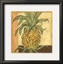 Golden Pineapple Ii by Jennifer Goldberger Limited Edition Print