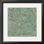 Tiffany Lace Iv by Chariklia Zarris Limited Edition Pricing Art Print