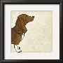 Good Dog Ii by Chariklia Zarris Limited Edition Print